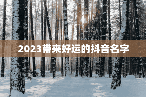 2023带来好运的抖音名字